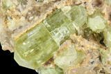 Gemmy, Yellow Apatite Crystal Cluster - Morocco #84326-2